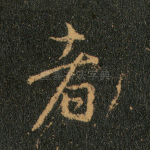 者