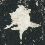 本