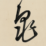 龟