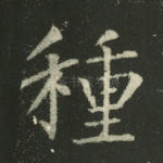 种