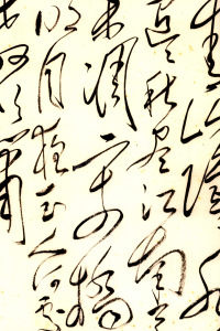 毛泽东书法选乙编-第四册 - 第21页