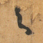 与