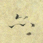 亦