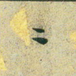悠