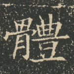 体