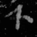下