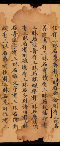 般若波罗蜜三昧品 - 第5页