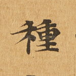 种