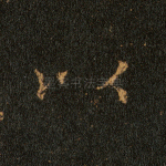 以