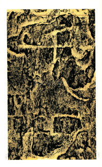 褒斜道刻石 - 第60页