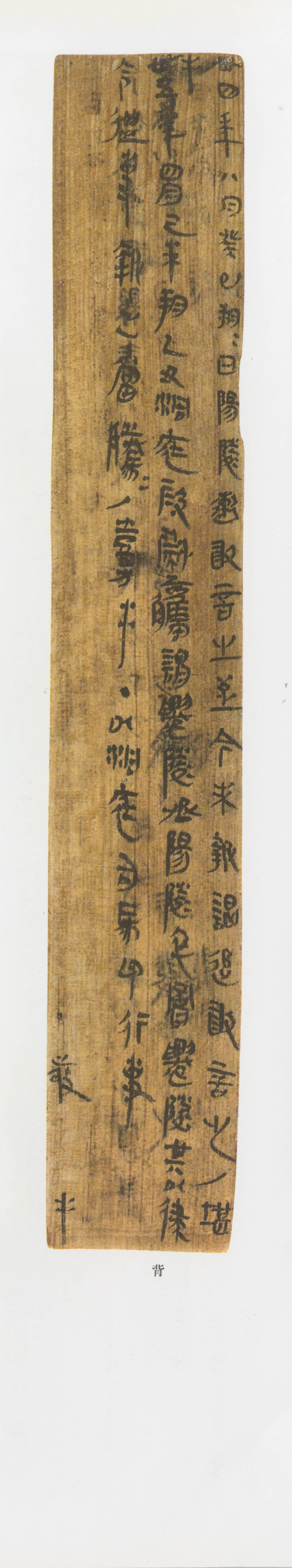 里耶秦简 - 第5页