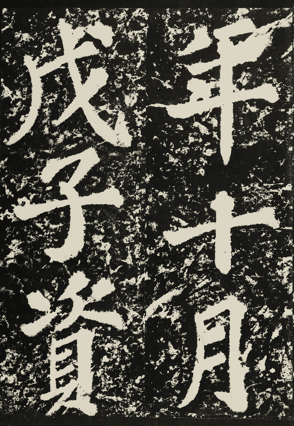 表忠观碑 - 第5页