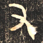 又
