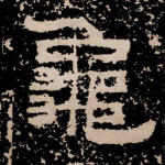 龟