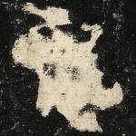 龙