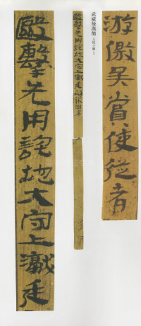 武威后汉简 - 第6页