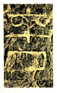 褒斜道刻石 - 第55页