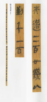 云梦睡虎地秦简 - 第30页