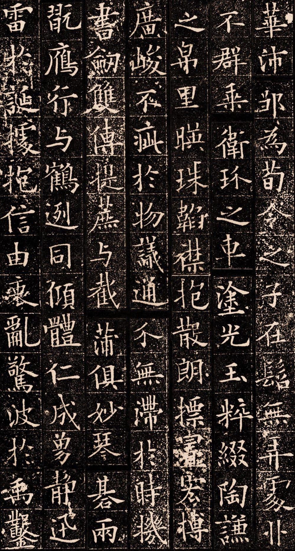 泉男生墓志铭 - 第5页