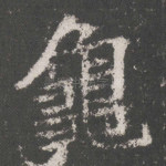 龟