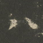 八