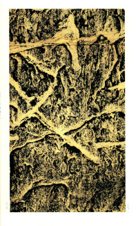 褒斜道刻石 - 第15页