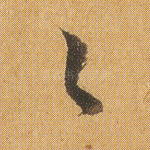 合