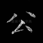 公