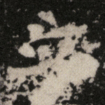 立