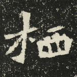 栖