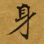 身