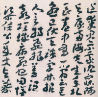 蘧草十八帖 - 第14页