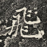 飞