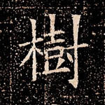 树