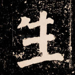 生
