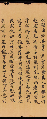 般若波罗蜜三昧品 - 第53页