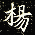 杨