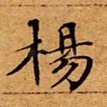 杨