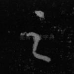 之
