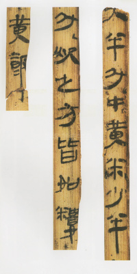 虎溪山前汉简 - 第15页