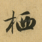 栖