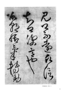 郑修容有事 - 第3页