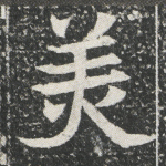 美