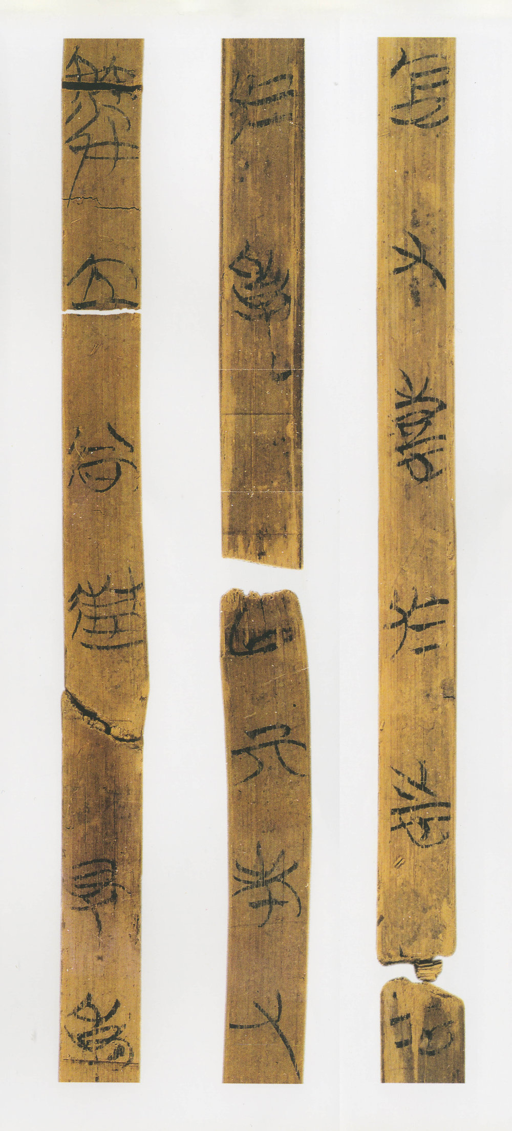 望山楚简 - 第2页