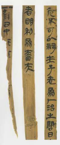 印台前汉简 - 第3页