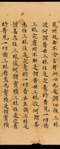 般若波罗蜜三昧品 - 第24页