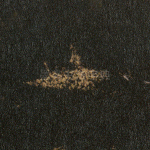 一