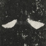 八