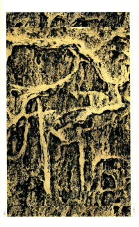 褒斜道刻石 - 第42页