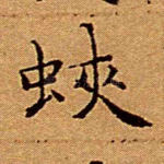 蛱